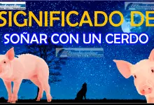 Soñar con un Cerdo ¿Qué significa este sueño?
