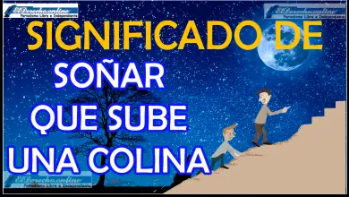 Soñar que sube una Colina ¿Qué significa este sueño?