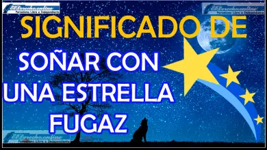 Soñar con una Estrella fugaz ¿Qué significa este sueño?