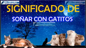 ▷ Soñar que una Gata da a luz gatitos ¿Qué significa? » 2023 El Derecho Online 🥇 Soñar que una Gata da a luz gatitos ¿Qué significa?
