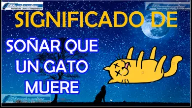 Soñar que un Gato muere ¿Qué significa este sueño?