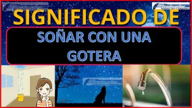 Soñar con una Gotera ¿Qué significa este sueño?