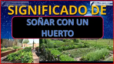 Soñar con un Huerto ¿Qué significa este sueño?