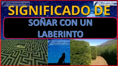 Soñar con un Laberinto ¿Qué significa este sueño?