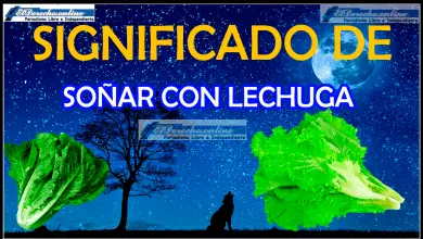 Soñar con Lechuga ¿Qué significa este sueño?