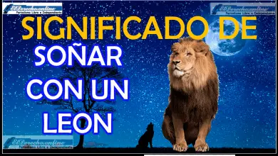 Soñar con un León ¿Qué significa este sueño?