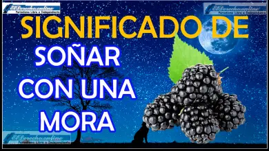 Soñar con una Mora ¿Qué significa este sueño?