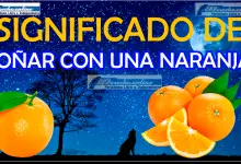 Soñar con una Naranja ¿Qué significa este sueño?