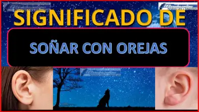 Soñar con Orejas ¿Qué significa este sueño?