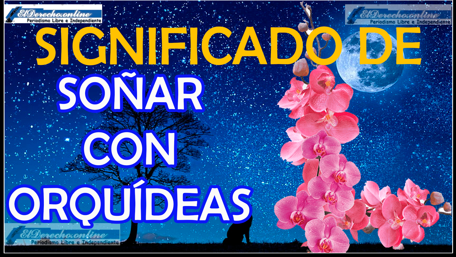 Soñar con Orquídeas ¿Qué significa este sueño?