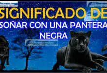 Soñar con una Pantera negra ¿Qué significa este sueño?