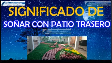 Soñar con Patio trasero ¿Qué significa este sueño?