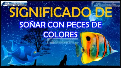 Soñar con Peces de colores ¿Qué significa este sueño?