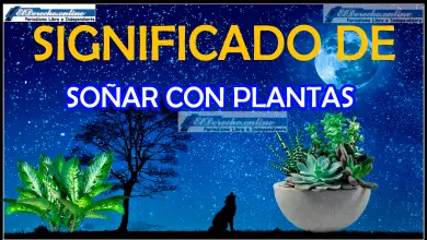 Soñar con Plantas ¿Qué significa este sueño?