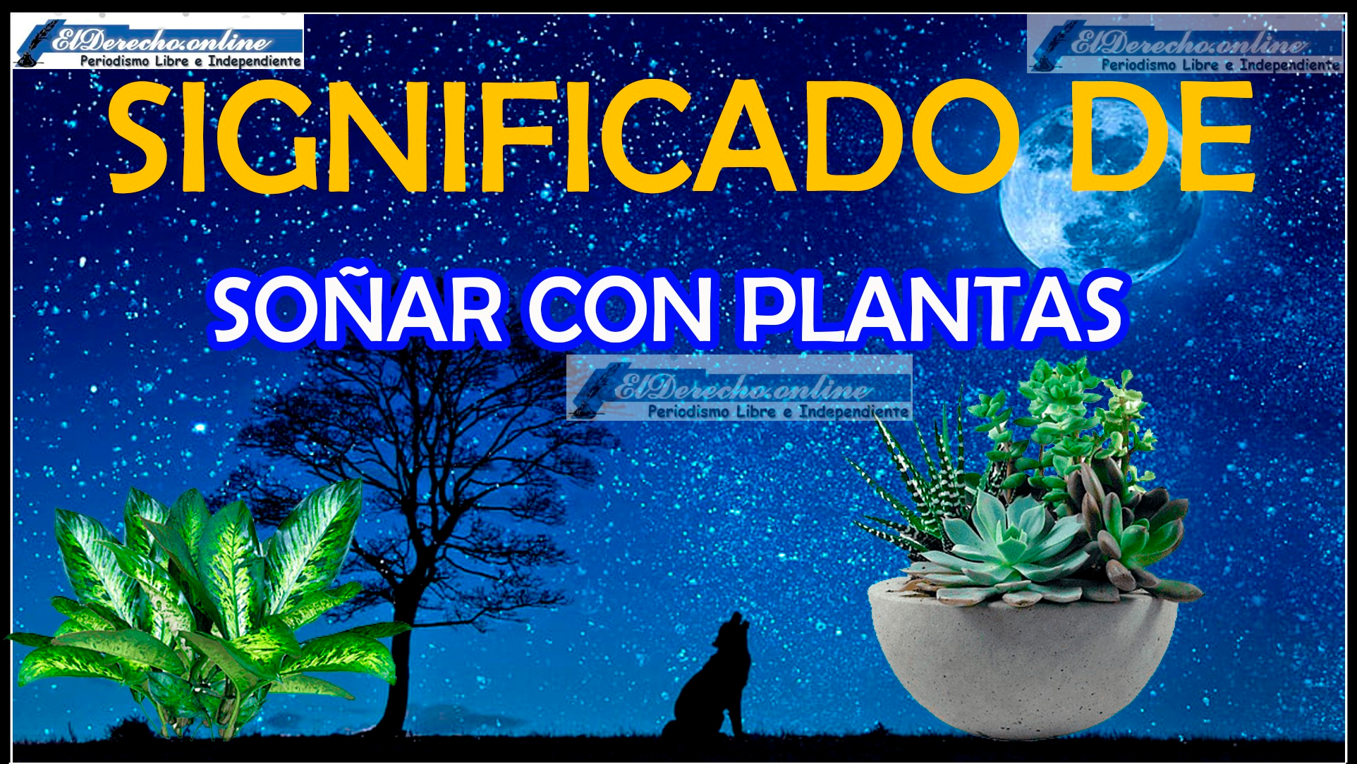 Soñar con Plantas ¿Qué significa este sueño?