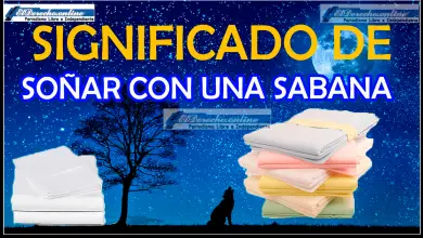 Soñar con una Sabana ¿Qué significa este sueño?