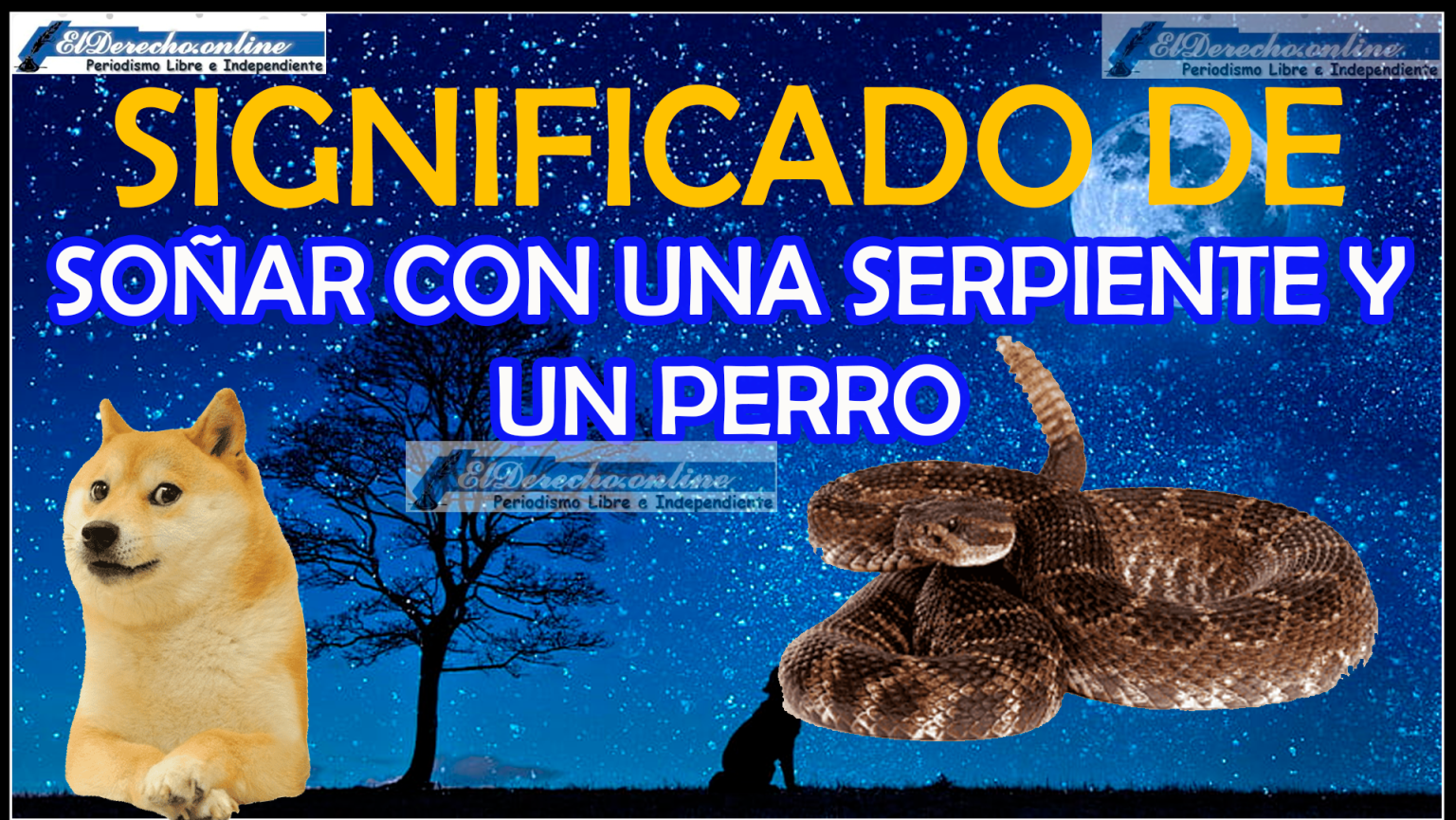 Soñar con una Serpiente y un Perro ¿Qué significa este sueño?