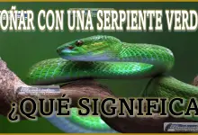 Soñar con una Serpiente Verde ¿Qué significa este sueño?