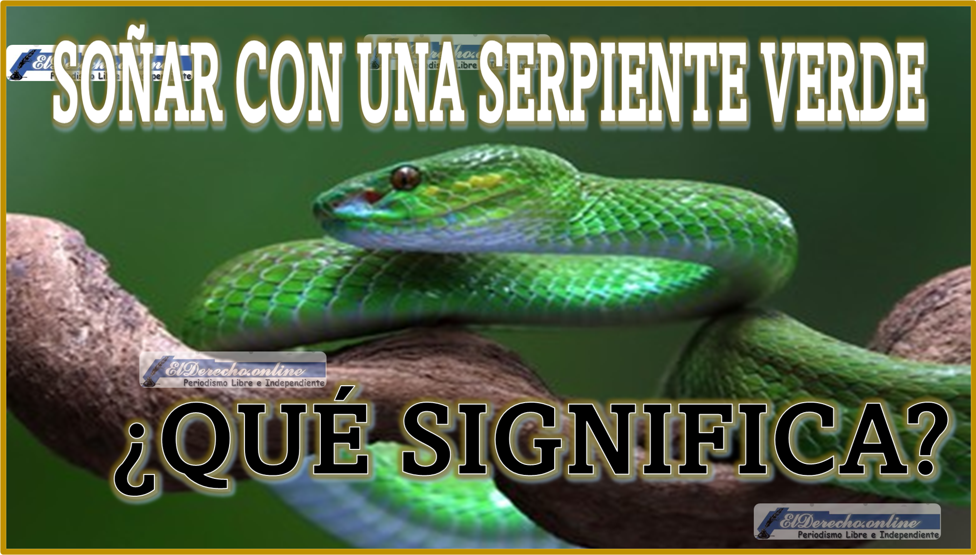 Soñar con una Serpiente Verde ¿Qué significa este sueño?
