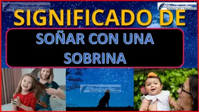 Soñar con una Sobrina ¿Qué significa este sueño?