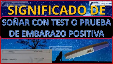 Soñar con Test o Prueba de embarazo positiva ¿Qué significa?