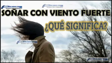 Soñar con Viento fuerte ¿Qué significa este sueño?