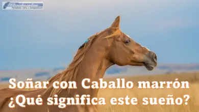 Soñar con Caballo marrón ¿Qué significa este sueño?