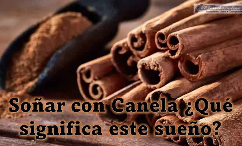 ▷ Soñar con Canela ¿Qué significa este sueño? » 2023 El Derecho Online 🥇 Soñar con Canela ¿Qué significa este sueño?