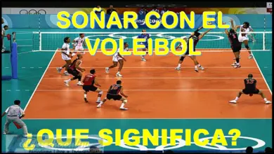 Soñar con el Voleibol ¿Qué significa este sueño?