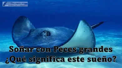 Soñar con Peces grandes ¿Qué significa este sueño?