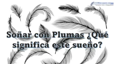 Soñar con Plumas ¿Qué significa este sueño?