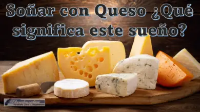 Soñar con Queso ¿Qué significa este sueño?