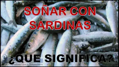 Soñar con Sardinas ¿Qué significa este sueño?