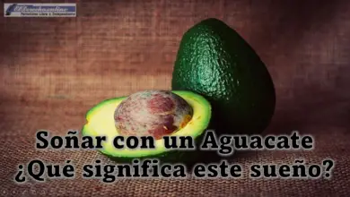 Soñar con un Aguacate ¿Qué significa este sueño?