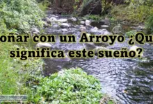 Soñar con un Arroyo ¿Qué significa este sueño?