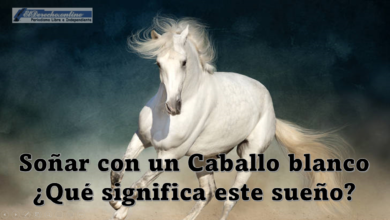 Soñar con un Caballo blanco ¿Qué significa este sueño?