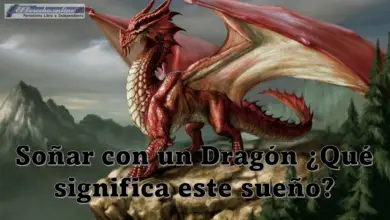 Soñar con un Dragón ¿Qué significa este sueño?