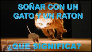 ▷ sonar-con-un-gato-y-un-raton-que-significa-este-sueno » 2023 El Derecho Online 🥇 sonar-con-un-gato-y-un-raton-que-significa-este-sueno