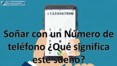 Soñar con un Número de teléfono ¿Qué significa este sueño?