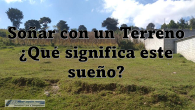 Soñar con un Terreno ¿Qué significa este sueño?