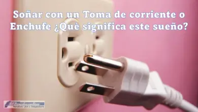 Soñar con un Toma de corriente o Enchufe ¿Qué significa este sueño?