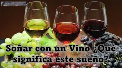 Soñar con un Vino ¿Qué significa este sueño?