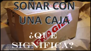 ▷ Soñar con una Caja de cartón ¿Qué significa este sueño? » 2023 El Derecho Online 🥇 Soñar con una Caja de cartón ¿Qué significa este sueño?