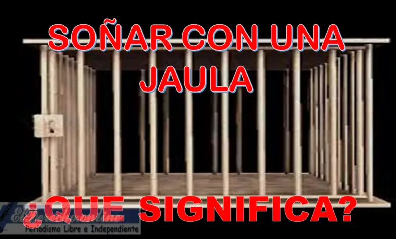 ▷ sonar-con-una-jaula-que-significa-este-sueno » 2023 El Derecho Online 🥇 sonar-con-una-jaula-que-significa-este-sueno
