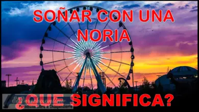 Soñar con una Noria ¿Qué significa este sueño?