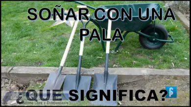 Soñar con una Pala ¿Qué significa este sueño?