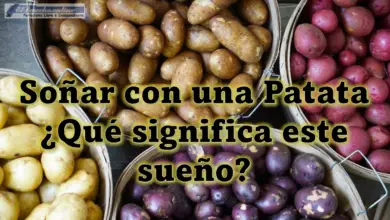 Soñar con una Patata ¿Qué significa este sueño?