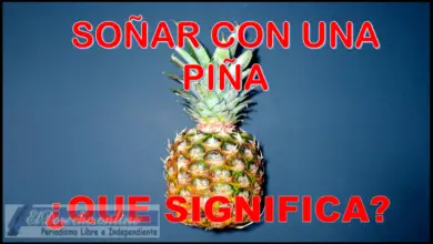 Soñar con una Piña ¿Qué significa este sueño?