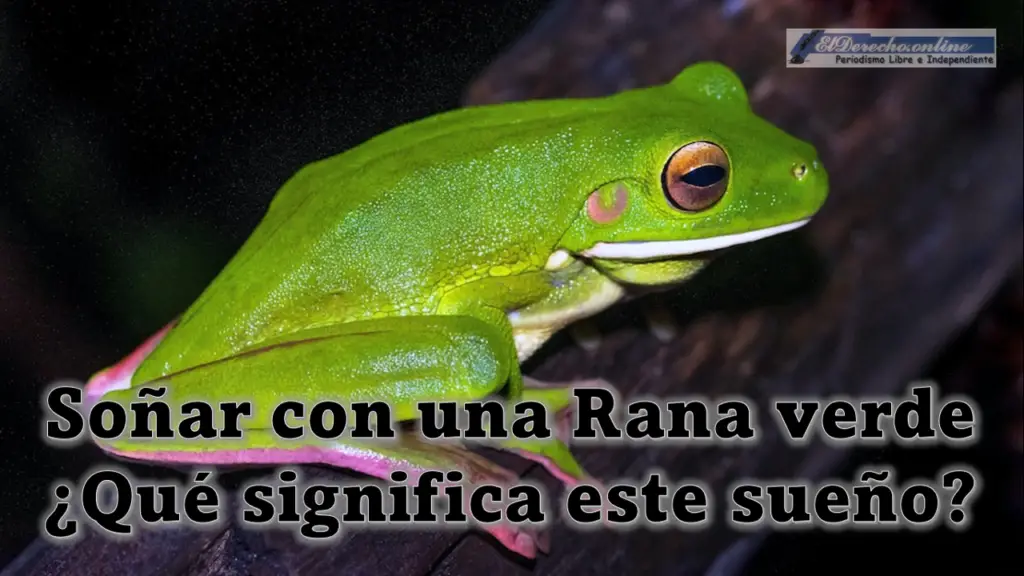 Soñar con una Rana verde ¿Qué significa este sueño?