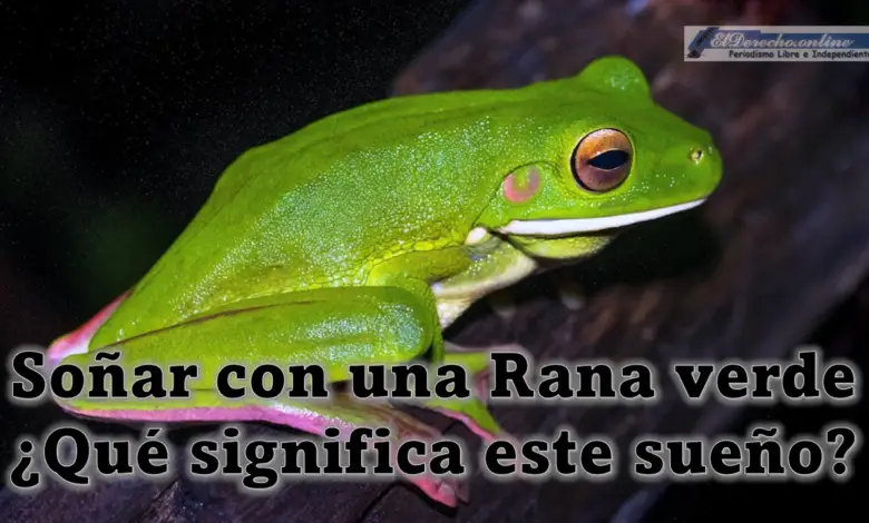 ▷ Soñar con una Rana verde ¿Qué significa este sueño? » 2023 El Derecho Online 🥇 Soñar con una Rana verde ¿Qué significa este sueño?